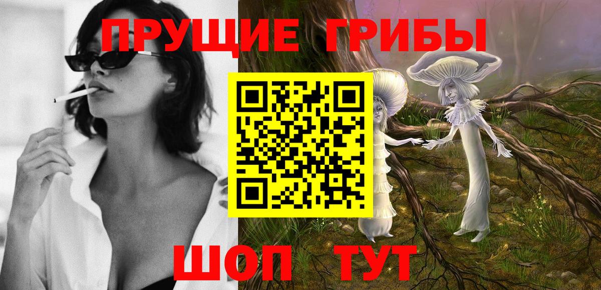 Псилоцибиновые грибы Psilocybine cubensis Кашира