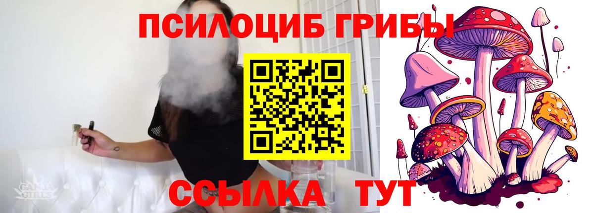 Кашира  Псилоцибиновые грибы Magic Shrooms  Галлюциногенные грибы Psilocybine cubensis  Вход с VPN 