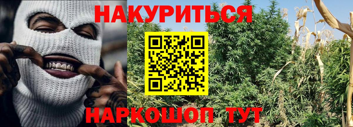 Каннабис THC 21% Кашира